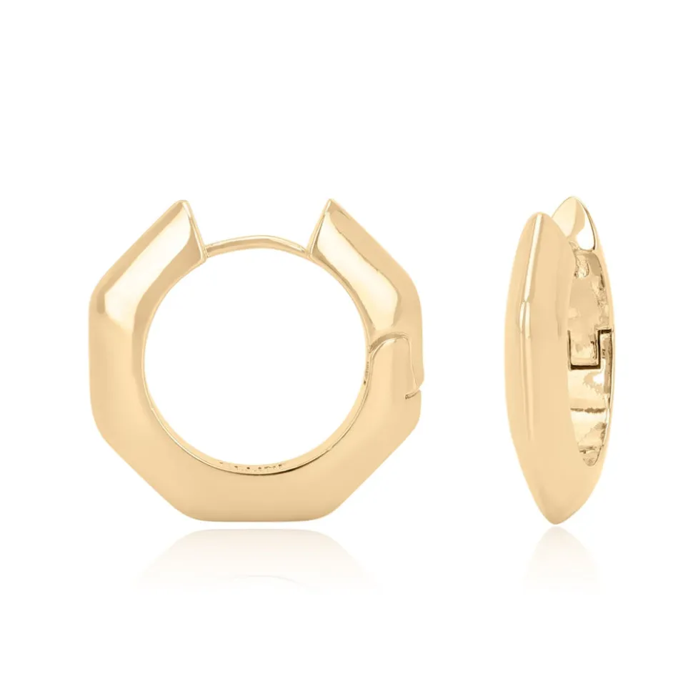 Shop ACADIA EARRINGS Earrings