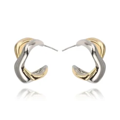 New ASPEN EARRING Earrings