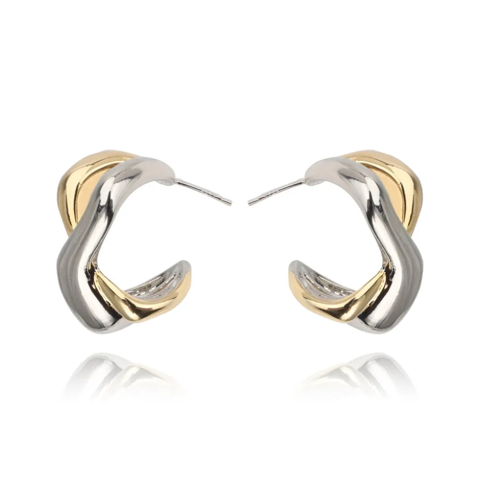 New ASPEN EARRING Earrings