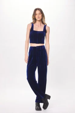 Shop Deep Blue Velvet Corset Top All Tops