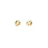 Hot Eliana Earrings Earrings