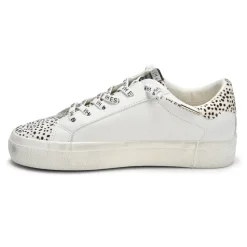Best FOREVER - WILD CHEETAH Low Tops