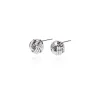 New Paisley Earrings Earrings