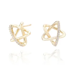 Shop RAVEN EARRINGS Earrings