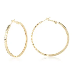 Fashion SERENITY 2 EARRINGS Earrings