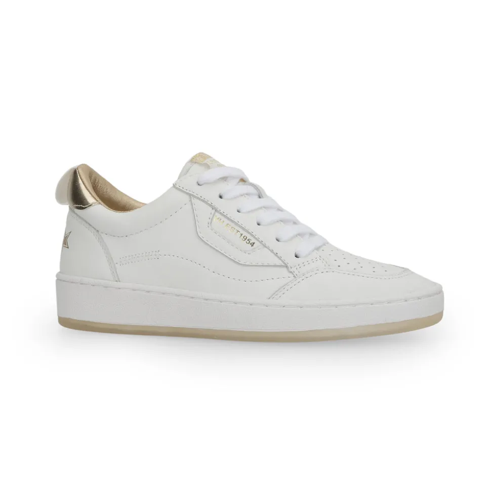 Store SWAG - WHITE GOLD MULTI Low Tops