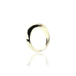 New VIENNA RING Rings